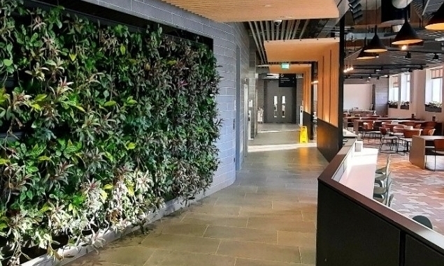 Bringing the outside in at Ann Street