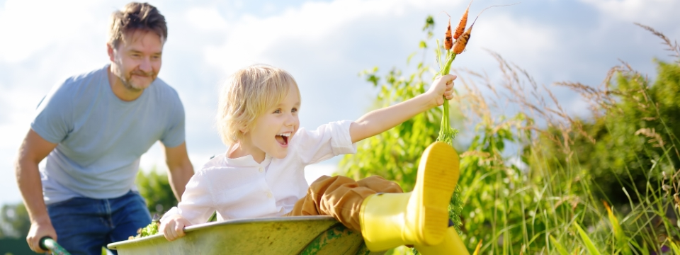 man pushing girl in wheelbarrow