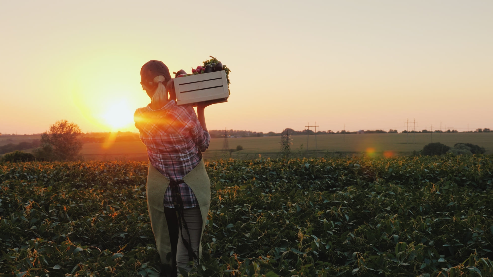 Switch your business current account