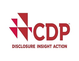 cpd disclosure, insight, action